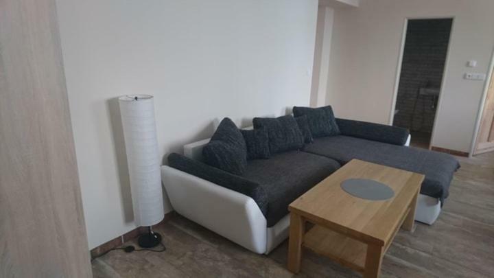 Business Apartman Žamberk Buitenkant foto